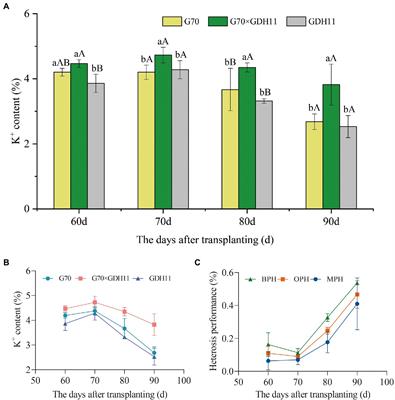 Comparative transcriptome analysis between inbred lines and hybrids provides molecular insights into K+ content heterosis of tobacco (Nicotiana tabacum L.)